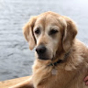 Meet your Posher, Alisha